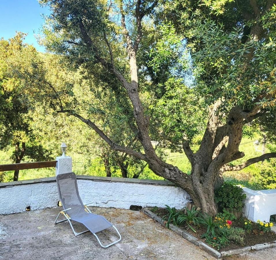 Cap Corse Une Villa Dans Un Nid De Verdure San-Martino-di-Lota المظهر الخارجي الصورة
