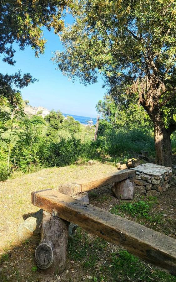 Cap Corse Une Villa Dans Un Nid De Verdure San-Martino-di-Lota المظهر الخارجي الصورة